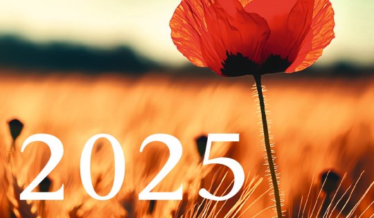 MediKur - Katalog 2025